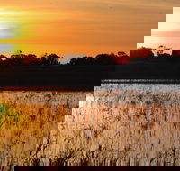Bool Lagoon Game Reserve and Hacks Lagoon Conservation Park - Attractions Brisbane