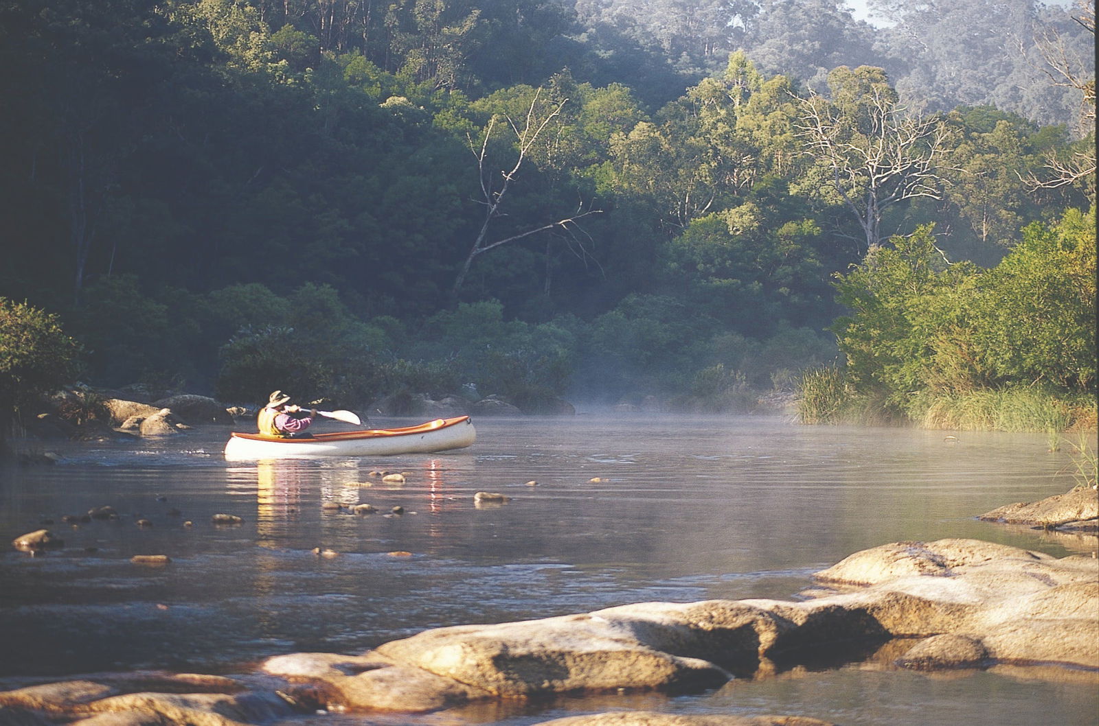 Coopers Gully NSW Attractions Brisbane