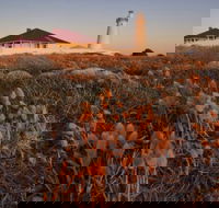 Cape Willoughby Heritage Trail - Attractions Brisbane