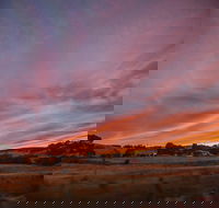 Cape Jervis - Attractions Brisbane