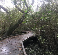 Carole Green Walkway - John Oxley Reserve - Attractions Brisbane
