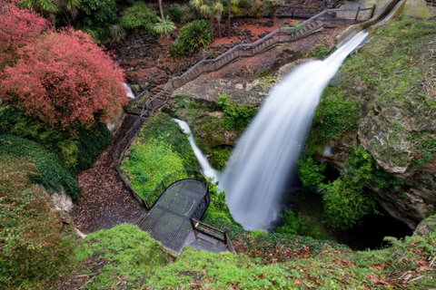 Cave Garden - Attractions Brisbane 0