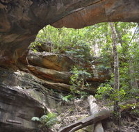 Cave Creek Walking Track - Attractions Brisbane