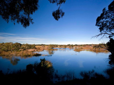 Cecil Hoskins Nature Reserve - Attractions Brisbane 0