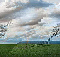 Clare Valley - Attractions Brisbane