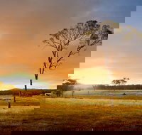 Cooyar - Attractions Brisbane