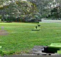 Cottonwood Glen Picnic Area - Attractions Brisbane