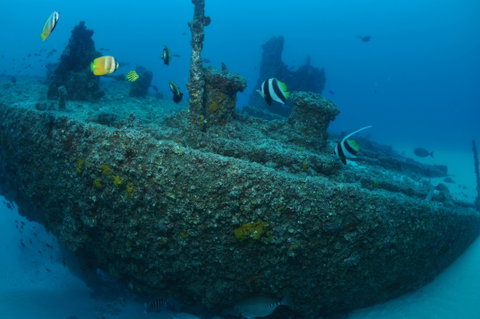 Curtin Artificial Reef Dive Site - Attractions Brisbane 1