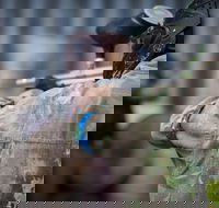 Delta Force Paintball - Attractions Brisbane