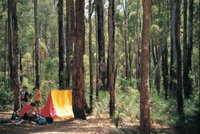 Dwellingup