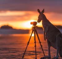 Explore the Mackay Region in Three Days - Attractions Brisbane