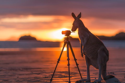 Explore The Mackay Region In Three Days - Attractions Brisbane 0