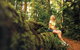 Explore The Mackay Region In Three Days - thumb 1