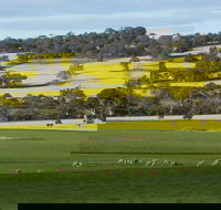 Fini Olives - Attractions Brisbane