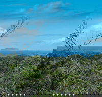 Forest Walking Track Crowdy Bay National Park - Attractions Brisbane