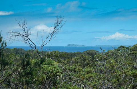 Forest Walking Track, Crowdy Bay National Park - Attractions Brisbane 0
