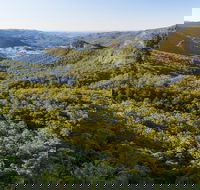 Gold Coast Hinterland Great Walk - Attractions Brisbane