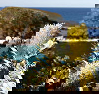 Green Island Walking Track - Attractions Brisbane