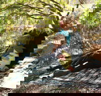 Haig Street Quarry Bushland Reserve Trails - Attractions Brisbane