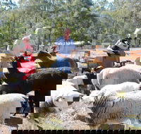 Haigslea EWE Nique Hobby Farm - Attractions Brisbane