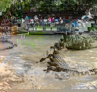 Hartley's Crocodile Adventures - Attractions Brisbane