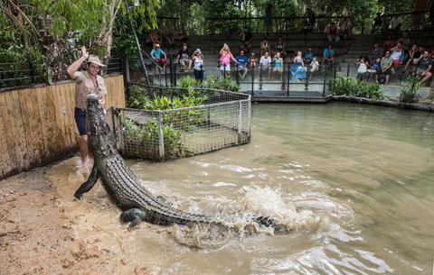 Hartley's Crocodile Adventures - Attractions Brisbane 0