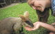 Hartley's Crocodile Adventures - thumb 2