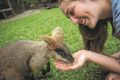 Hartley's Crocodile Adventures - Attractions Brisbane 2