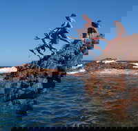 Hillocks Drive - Attractions Brisbane