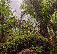 Honeysuckle picnic area - Attractions Brisbane