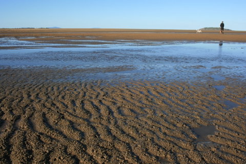Illawong Beach - Attractions Brisbane 0