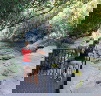 Josephine Falls walking track Wooroonooran National Park - Attractions Brisbane