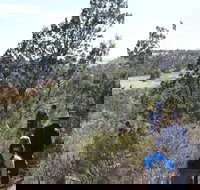 Kinchina Conservation Park - Attractions Brisbane