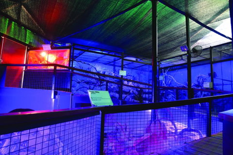 Kuranda Koala Gardens - Attractions Brisbane 2