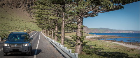 Lady Bay Beach - Attractions Brisbane 0