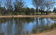 Lake King Wetlands At Rutherglen - thumb 0