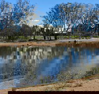 Lake King Wetlands at Rutherglen - Attractions Brisbane