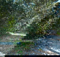 Lillypilly loop trail - Attractions Brisbane