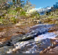 Little Dandahra Creek Walking Track - Attractions Brisbane