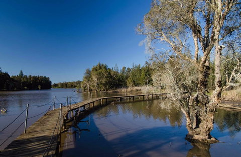 Longneck Lagoon Walking Track - Attractions Brisbane 0