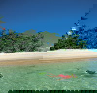 Low Isles - Attractions Brisbane