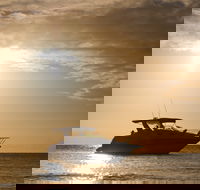 Maaroom - Attractions Brisbane