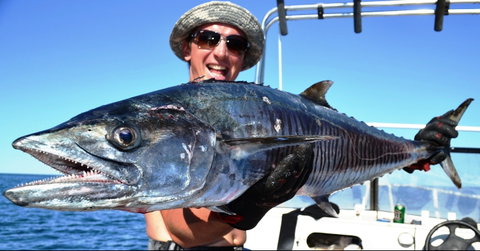 Mackerel Islands - Attractions Brisbane 2