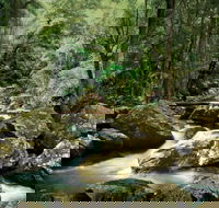 Maleny - Attractions Brisbane