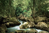 Maleny