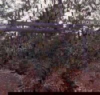 Marrinup Trail Dwellingup - Attractions Brisbane