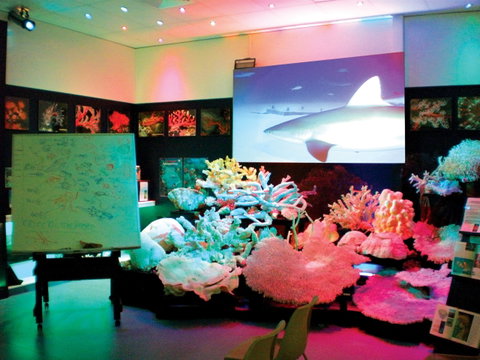 Marine Discovery Centre Hastings Point - Attractions Brisbane 0