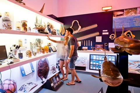 Marine Discovery Centre Hastings Point - Attractions Brisbane 1