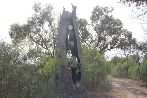 Martin Bend Wetland And Walking Trail - Attractions Brisbane 1