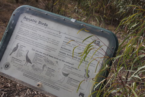 Martin Bend Wetland And Walking Trail - Attractions Brisbane 2